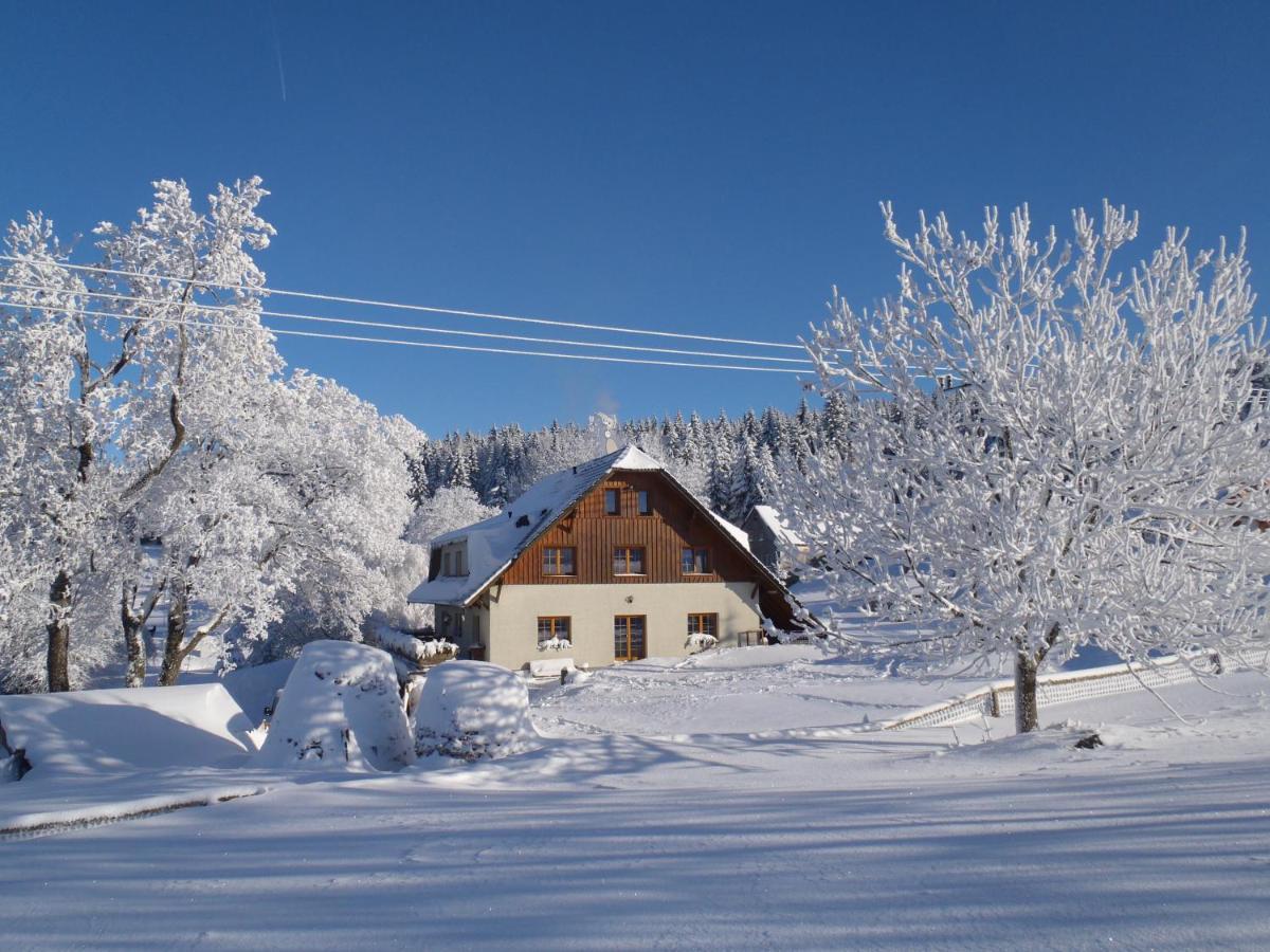 Penzion Sehnoutkovi Bedřichov Exteriör bild